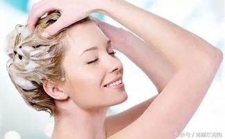 科學護發，選對產品是關鍵 從發質出發的護發產品指南