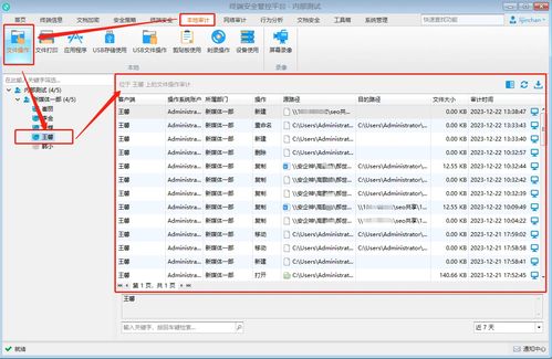 實時電腦監控與計算機軟件開發 工具、技術與應用